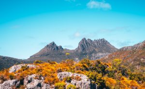 A Beginner's Guide To Traveling Tasmania