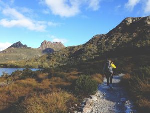 A Beginner's Guide To Traveling Tasmania