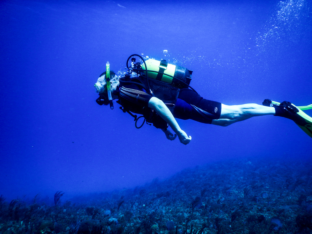 Fishermen From Around The World Share Their Strange Catches