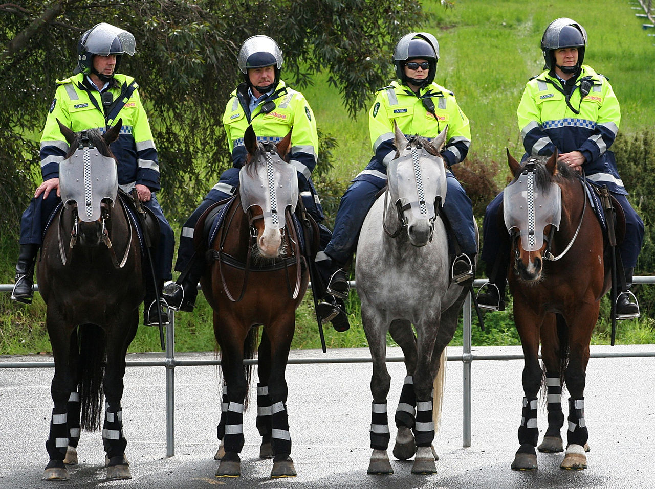 People Share The Most Unexpected Things They Saw While Visiting Australia