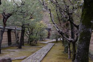 A Backpacker's Guide To Kyoto: The Cultural Heart Of Japan