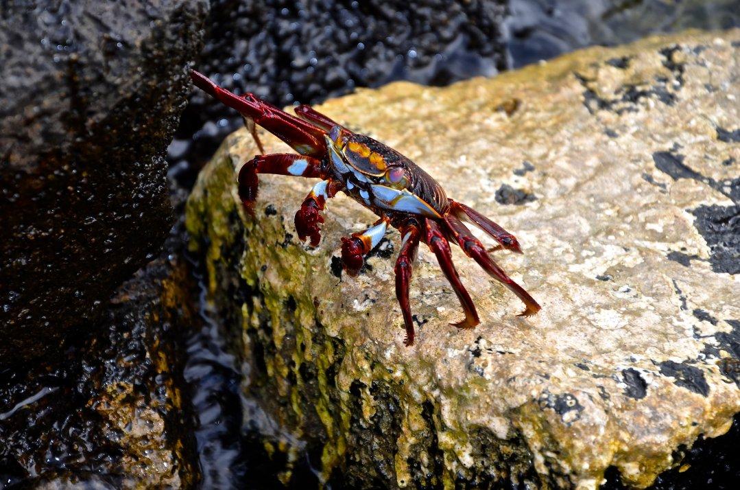 Oddities Submerged: Divers Share The Weirdest Things They Ever Found Under Water