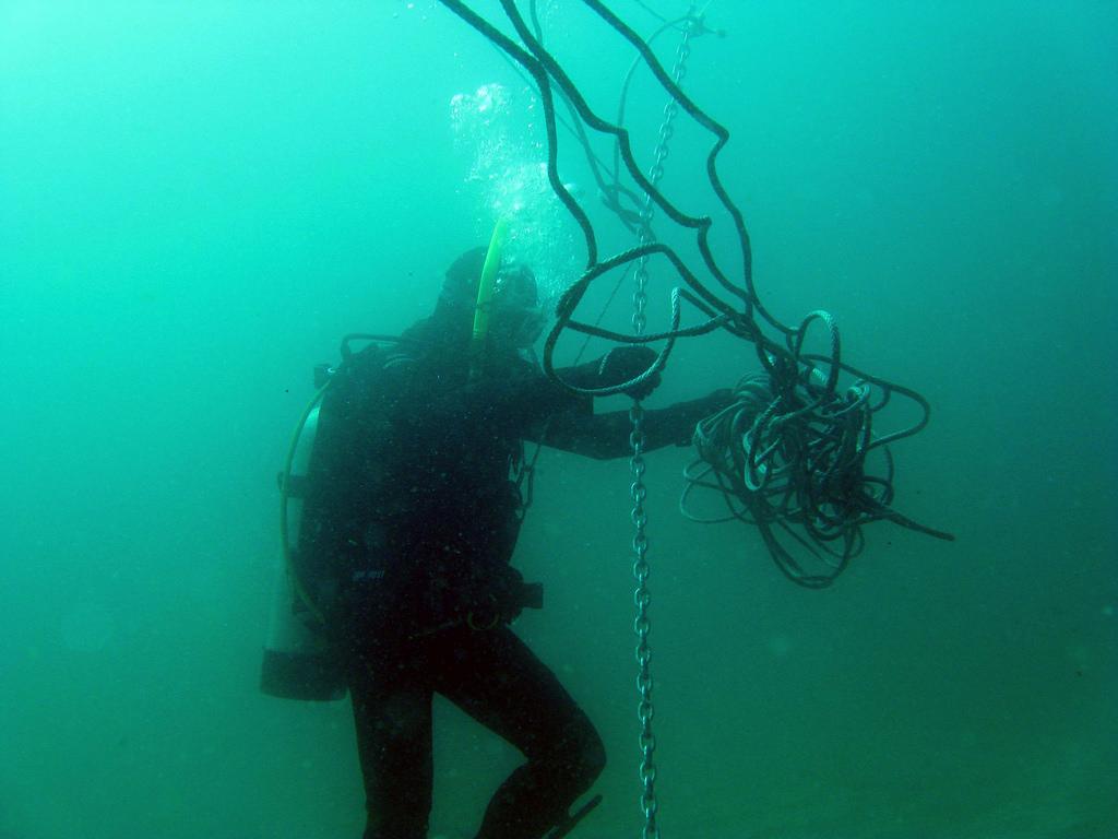 Scuba Divers Share The Strangest Thing That Has Ever Happened To Them Underwater