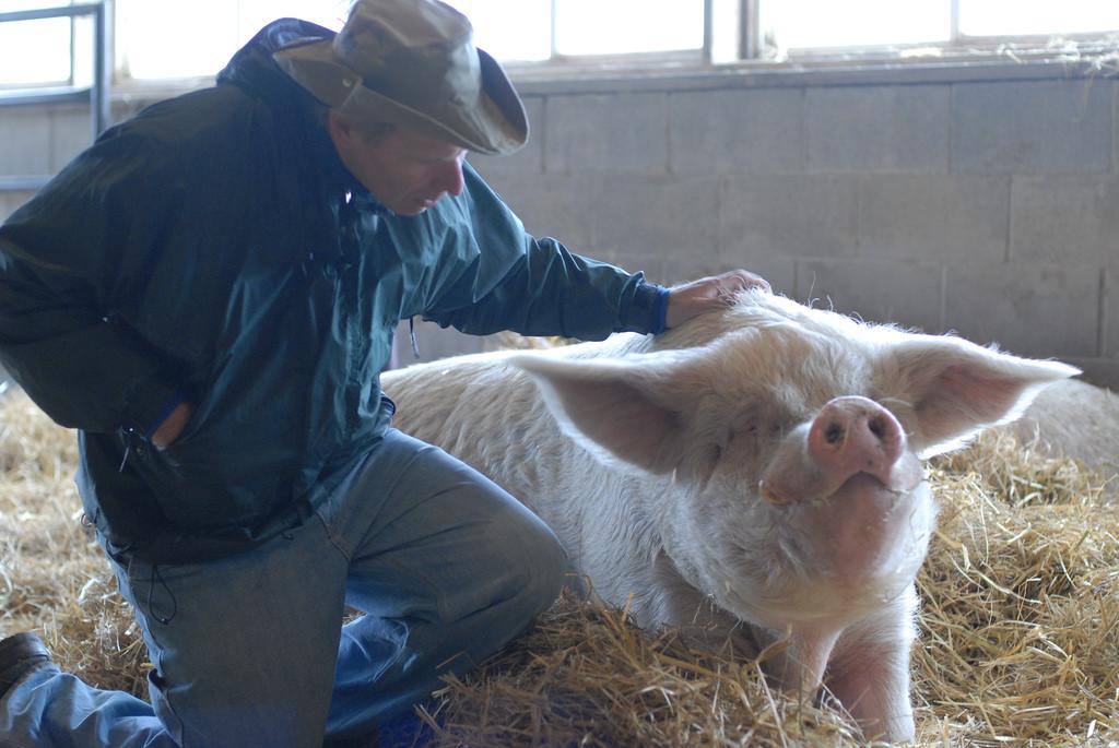 People From Around The World Share Their Heartwarming Animal Stories