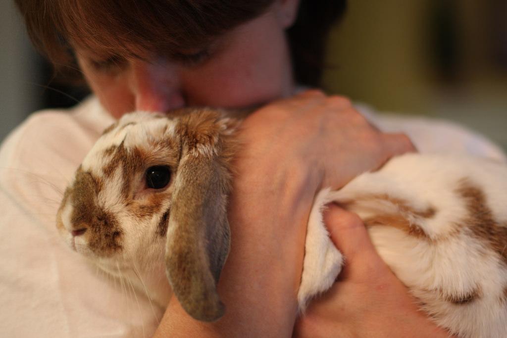 People From Around The World Share Their Heartwarming Animal Stories