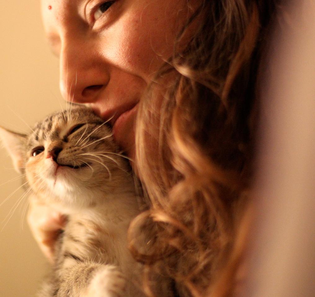 People From Around The World Share Their Heartwarming Animal Stories