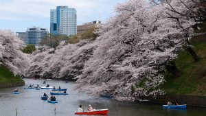 The Ultimate Guide To Visiting Tokyo: Part 2