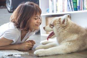 People From Around The World Share Their Heartwarming Animal Stories