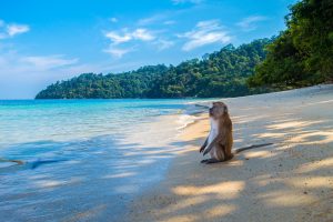 The Most Remote Beaches In The World