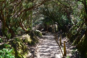 Rural de Anaga Park, Tenerife