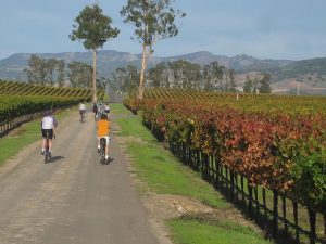 The Best Things To Do In Napa Valley, California