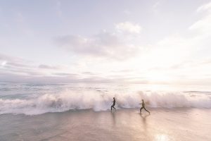 La Jolla: The best things to do in San Diego County