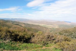 Laguna Mountains on the Pacific Crest Trail