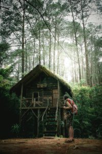 The Best Treehouse Staycation Spots